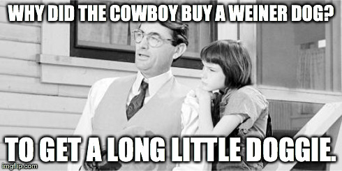 WHY DID THE COWBOY BUY A WEINER DOG? TO GET A LONG LITTLE DOGGIE. | image tagged in atticus and scout,puns | made w/ Imgflip meme maker