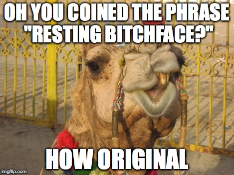 Sarcastic Camel | OH YOU COINED THE PHRASE "RESTING B**CHFACE?" HOW ORIGINAL | image tagged in sarcastic camel | made w/ Imgflip meme maker