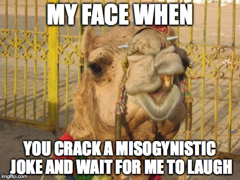 Sarcastic Camel | MY FACE WHEN YOU CRACK A MISOGYNISTIC JOKE AND WAIT FOR ME TO LAUGH | image tagged in sarcastic camel | made w/ Imgflip meme maker