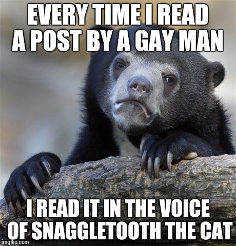 Confession Bear Meme | EVERY TIME I READ A POST BY A GAY MAN I READ IT IN THE VOICE OF SNAGGLETOOTH THE CAT | image tagged in memes,confession bear | made w/ Imgflip meme maker