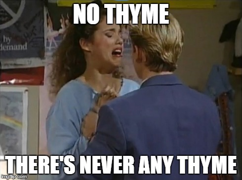 NO THYME THERE'S NEVER ANY THYME | image tagged in AdviceAnimals | made w/ Imgflip meme maker