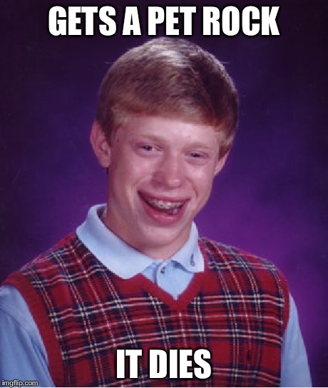 Bad Luck Brian | GETS A PET ROCK IT DIES | image tagged in memes,bad luck brian | made w/ Imgflip meme maker