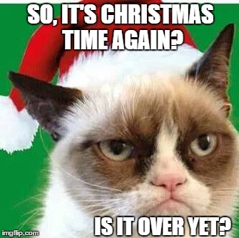 SO, IT'S CHRISTMAS TIME AGAIN? IS IT OVER YET? | image tagged in grumpy cat,grumpy cat christmas,cats,christmas | made w/ Imgflip meme maker