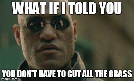 Matrix Morpheus Meme | WHAT IF I TOLD YOU YOU DON'T HAVE TO CUT ALL THE GRASS | image tagged in memes,matrix morpheus | made w/ Imgflip meme maker