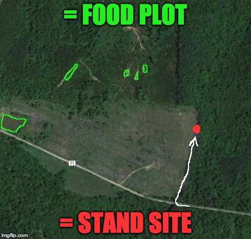 = FOOD PLOT = STAND SITE | made w/ Imgflip meme maker