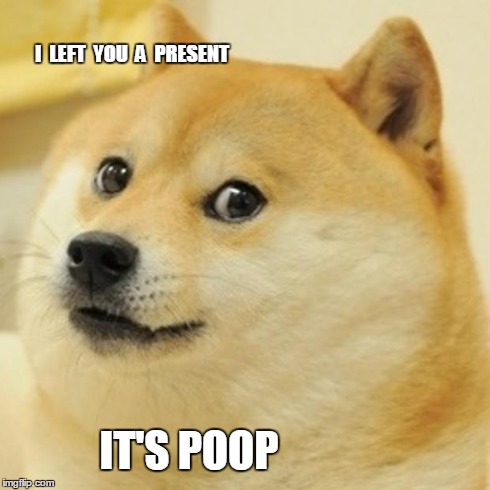 Doge Meme | I  LEFT  YOU  A  PRESENT IT'S POOP | image tagged in memes,doge | made w/ Imgflip meme maker