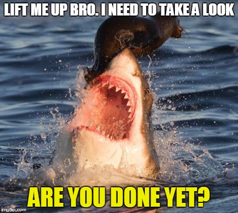 Everything takes a new meaning when you see things in a different perspective | LIFT ME UP BRO. I NEED TO TAKE A LOOK ARE YOU DONE YET? | image tagged in memes,travelonshark | made w/ Imgflip meme maker