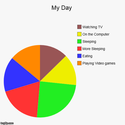 image tagged in funny,pie charts | made w/ Imgflip chart maker