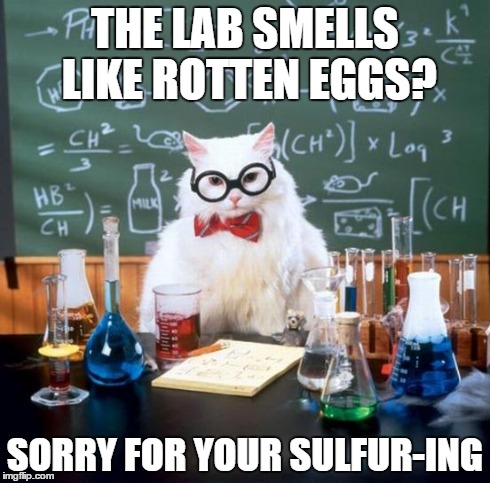 Chemistry Cat Meme | THE LAB SMELLS LIKE ROTTEN EGGS? SORRY FOR YOUR SULFUR-ING | image tagged in memes,chemistry cat | made w/ Imgflip meme maker