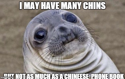 Awkward Moment Sealion | I MAY HAVE MANY CHINS BUT NOT AS MUCH AS A CHINEESE 
PHONE BOOK | image tagged in memes,awkward moment sealion | made w/ Imgflip meme maker