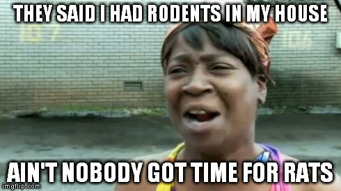 Ain't Nobody Got Time For That | THEY SAID I HAD RODENTS IN MY HOUSE AIN'T NOBODY GOT TIME FOR RATS | image tagged in memes,aint nobody got time for that | made w/ Imgflip meme maker
