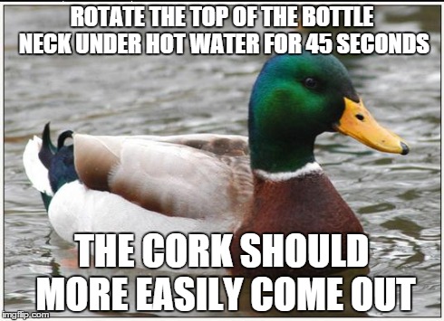 Actual Advice Mallard | ROTATE THE TOP OF THE BOTTLE NECK UNDER HOT WATER FOR 45 SECONDS THE CORK SHOULD MORE EASILY COME OUT | image tagged in memes,actual advice mallard | made w/ Imgflip meme maker