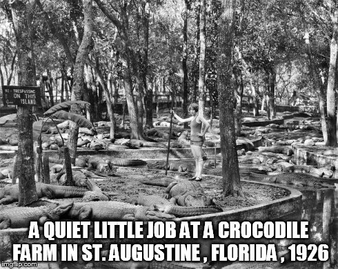 A QUIET LITTLE JOB AT A CROCODILE FARM IN ST. AUGUSTINE , FLORIDA , 1926 | made w/ Imgflip meme maker