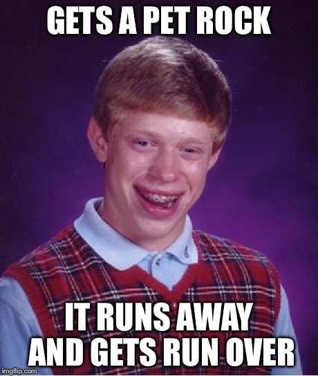Bad Luck Brian Meme | GETS A PET ROCK IT RUNS AWAY AND GETS RUN OVER | image tagged in memes,bad luck brian | made w/ Imgflip meme maker