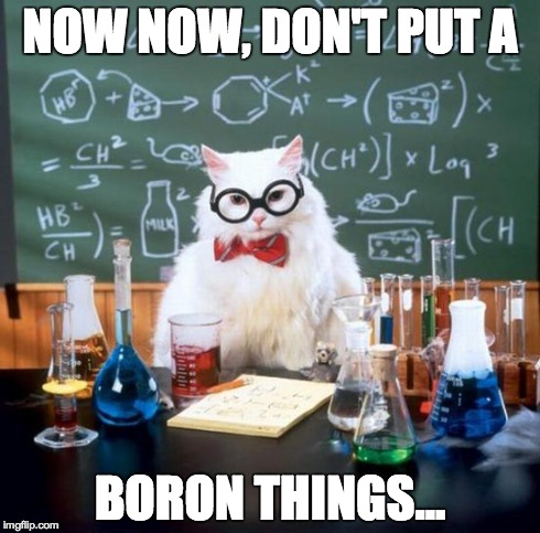 Chemistry Cat | NOW NOW, DON'T PUT A BORON THINGS... | image tagged in memes,chemistry cat | made w/ Imgflip meme maker