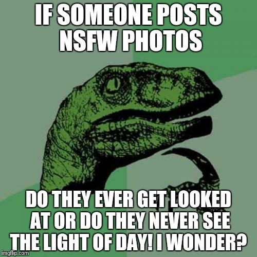 Does it ever get seen | IF SOMEONE POSTS NSFW PHOTOS DO THEY EVER GET LOOKED AT OR DO THEY NEVER SEE THE LIGHT OF DAY! I WONDER? | image tagged in memes,philosoraptor | made w/ Imgflip meme maker