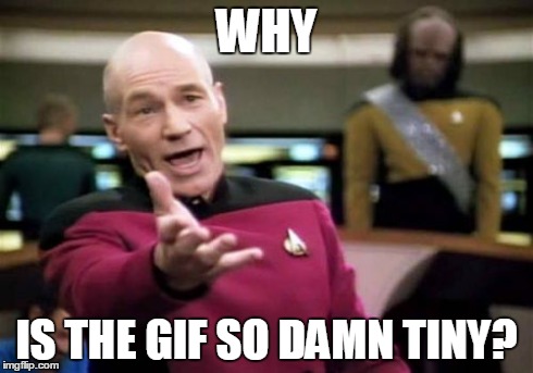 Picard Wtf Meme | WHY IS THE GIF SO DAMN TINY? | image tagged in memes,picard wtf | made w/ Imgflip meme maker