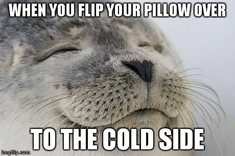Satisfied Seal | WHEN YOU FLIP YOUR PILLOW OVER TO THE COLD SIDE | image tagged in memes,satisfied seal | made w/ Imgflip meme maker