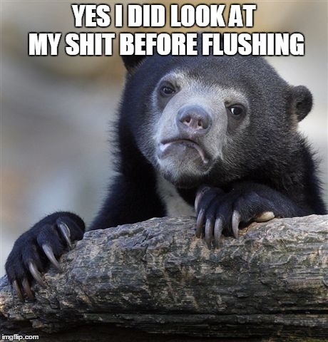 Confession Bear Meme | YES I DID LOOK AT MY SHIT BEFORE FLUSHING | image tagged in memes,confession bear | made w/ Imgflip meme maker