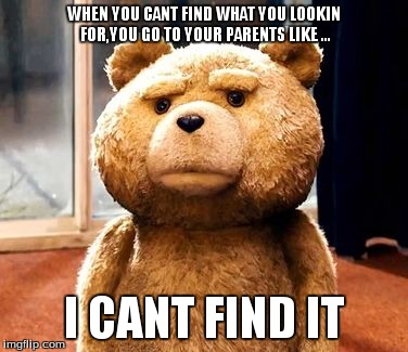 TED | WHEN YOU CANT FIND WHAT YOU LOOKIN FOR,YOU GO TO YOUR PARENTS LIKE ... I CANT FIND IT | image tagged in memes,ted | made w/ Imgflip meme maker