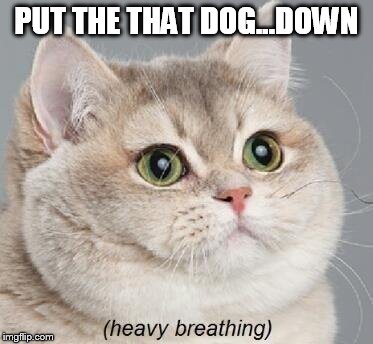 Heavy Breathing Cat Meme | PUT THE THAT DOG...DOWN | image tagged in memes,heavy breathing cat | made w/ Imgflip meme maker