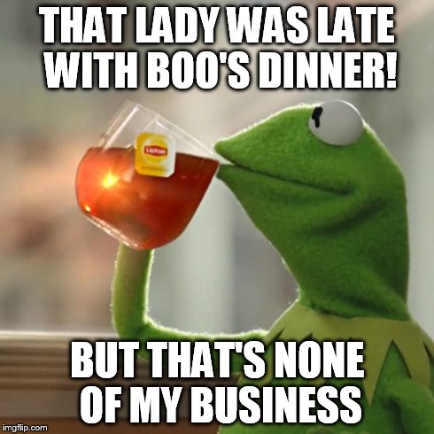 But That's None Of My Business | THAT LADY WAS LATE WITH BOO'S DINNER! BUT THAT'S NONE OF MY BUSINESS | image tagged in memes,but thats none of my business,kermit the frog | made w/ Imgflip meme maker