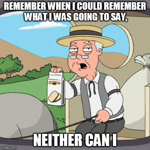 Pepperidge Farm Remembers | REMEMBER WHEN I COULD REMEMBER WHAT I WAS GOING TO SAY, NEITHER CAN I | image tagged in memes,pepperidge farm remembers | made w/ Imgflip meme maker