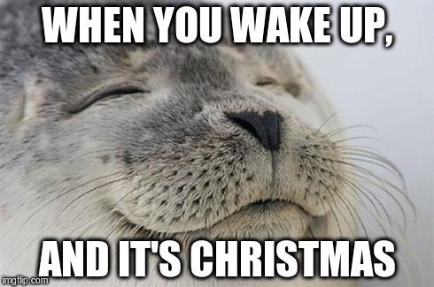 Satisfied Seal Meme | WHEN YOU WAKE UP, AND IT'S CHRISTMAS | image tagged in memes,satisfied seal | made w/ Imgflip meme maker