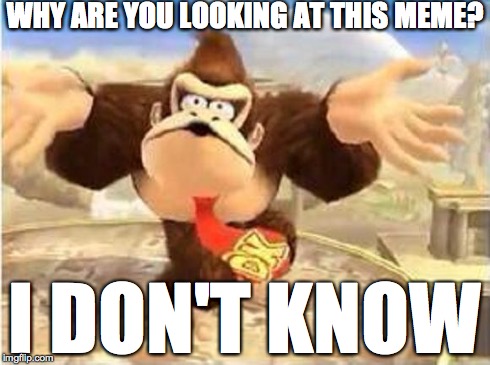 DK I Don't Know | WHY ARE YOU LOOKING AT THIS MEME? I DON'T KNOW | image tagged in dk i don't know | made w/ Imgflip meme maker