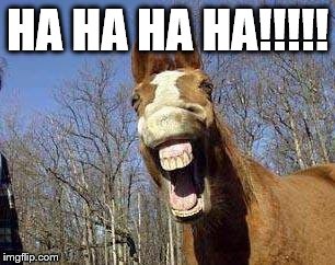 Jaw-Drop Horse | HA HA HA HA!!!!! | image tagged in jaw-drop horse | made w/ Imgflip meme maker
