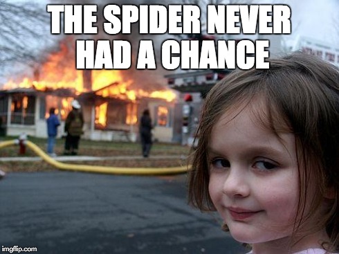 Disaster Girl Meme | THE SPIDER NEVER HAD A CHANCE | image tagged in memes,disaster girl | made w/ Imgflip meme maker