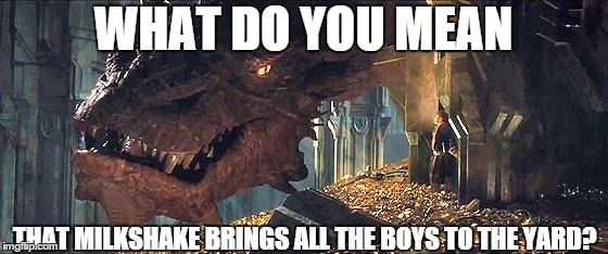 WHAT DO YOU MEAN THAT MILKSHAKE BRINGS ALL THE BOYS TO THE YARD? | image tagged in smaug | made w/ Imgflip meme maker