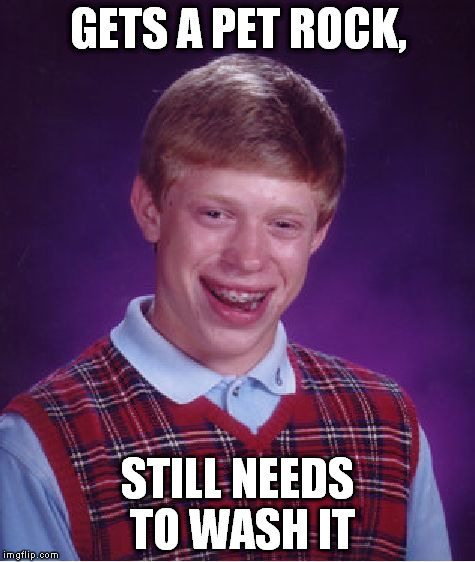 GETS A PET ROCK, STILL NEEDS TO WASH IT | image tagged in memes,bad luck brian | made w/ Imgflip meme maker