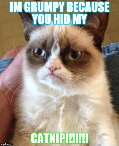 Grumpy Cat Meme | IM GRUMPY BECAUSE YOU HID MY CATNIP!!!!!!! | image tagged in memes,grumpy cat | made w/ Imgflip meme maker