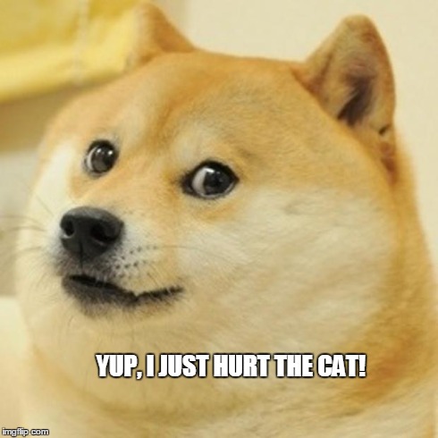 Doge Meme | YUP, I JUST HURT THE CAT! | image tagged in memes,doge | made w/ Imgflip meme maker