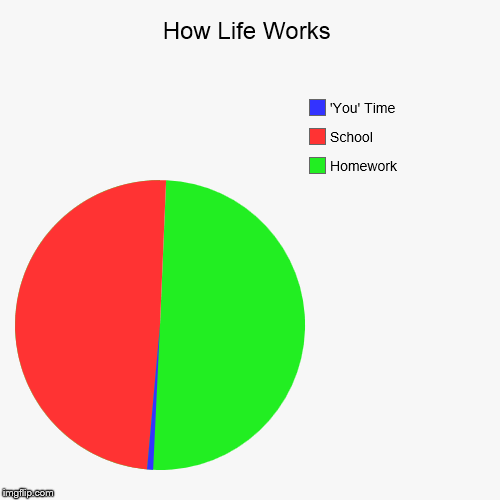 image tagged in funny,pie charts | made w/ Imgflip chart maker