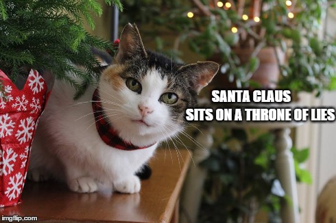 SANTA CLAUS SITS ON A THRONE OF LIES | image tagged in christmas,socialist kitty | made w/ Imgflip meme maker