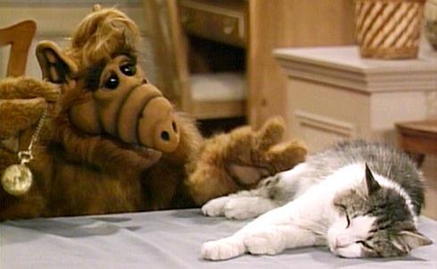 High Quality Alf Blank Meme Template