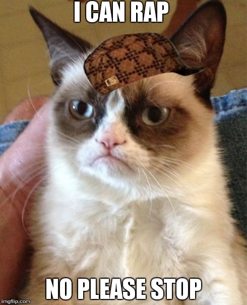 Grumpy Cat | I CAN RAP NO PLEASE STOP | image tagged in memes,grumpy cat,scumbag | made w/ Imgflip meme maker