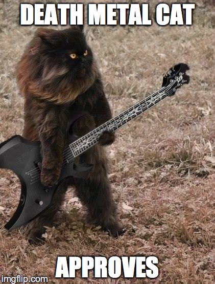 DEATH METAL CAT APPROVES | image tagged in death metal cat | made w/ Imgflip meme maker