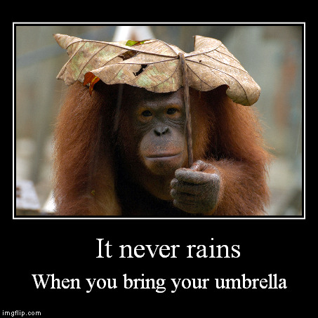 It never rains - Imgflip