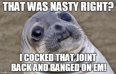 Awkward Moment Sealion Meme | THAT WAS NASTY RIGHT? I COCKED THAT JOINT BACK AND BANGED ON EM! | image tagged in memes,awkward moment sealion | made w/ Imgflip meme maker