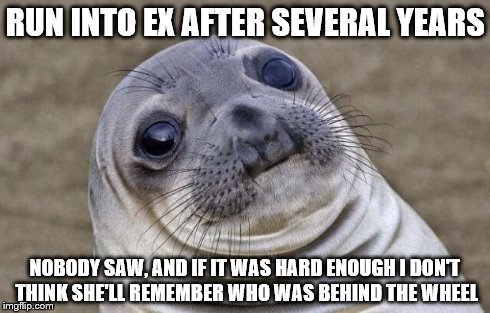Awkward Moment Sealion Meme | RUN INTO EX AFTER SEVERAL YEARS NOBODY SAW, AND IF IT WAS HARD ENOUGH I DON'T THINK SHE'LL REMEMBER WHO WAS BEHIND THE WHEEL | image tagged in memes,awkward moment sealion,AdviceAnimals | made w/ Imgflip meme maker