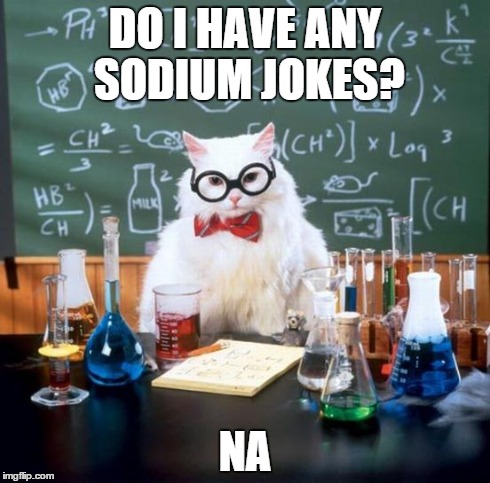 Chemistry Cat Meme | DO I HAVE ANY SODIUM JOKES? NA | image tagged in memes,chemistry cat | made w/ Imgflip meme maker