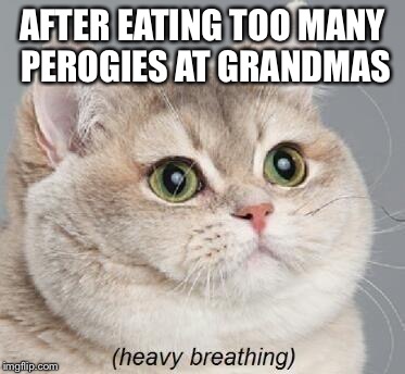 Heavy Breathing Cat Meme | AFTER EATING TOO MANY PEROGIES AT GRANDMAS | image tagged in memes,heavy breathing cat | made w/ Imgflip meme maker
