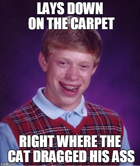 Bad Luck Brian Meme | LAYS DOWN ON THE CARPET RIGHT WHERE THE CAT DRAGGED HIS ASS | image tagged in memes,bad luck brian | made w/ Imgflip meme maker