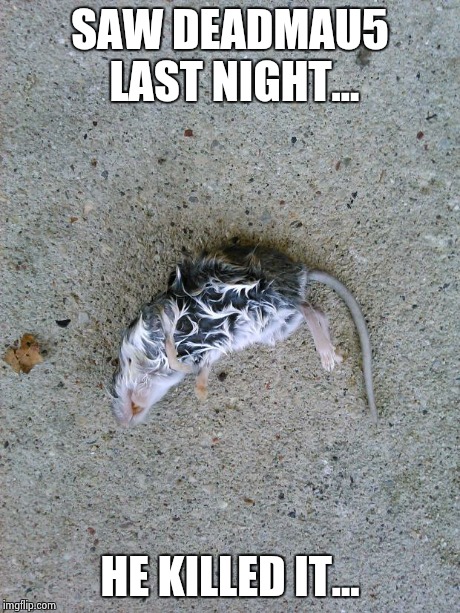 SAW DEADMAU5 LAST NIGHT... HE KILLED IT... | image tagged in deadmau5 | made w/ Imgflip meme maker
