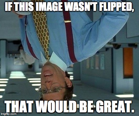That Would Be Great | IF THIS IMAGE WASN'T FLIPPED, THAT WOULD BE GREAT. | image tagged in memes,that would be great | made w/ Imgflip meme maker