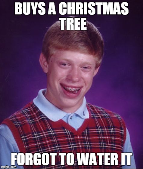 A Bad Christmas | BUYS A CHRISTMAS TREE FORGOT TO WATER IT | image tagged in christmas,funny,lol,bad luck brian,haha,stupid | made w/ Imgflip meme maker