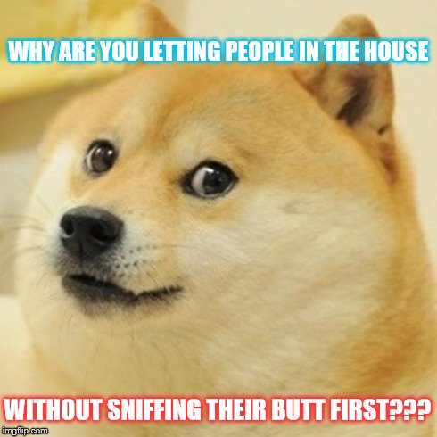 Doge Meme | WHY ARE YOU LETTING PEOPLE IN THE HOUSE WITHOUT SNIFFING THEIR BUTT FIRST??? | image tagged in memes,doge | made w/ Imgflip meme maker